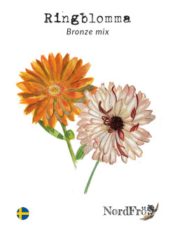 Ringblomma - Bronze mix | Calendula officinalis - Bulbs.se