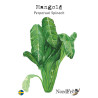 Mangold - Perpetual Spinach | Beta vulgaris - Bulbs.se